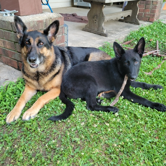 Hey!♡ Im Cat !! - Picture 11 of 16